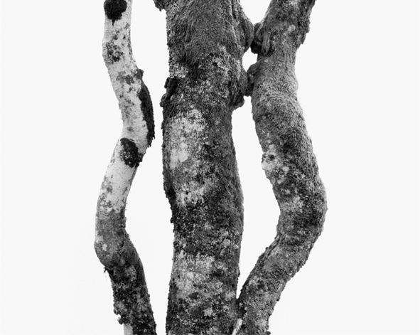 Olivier Pasquier