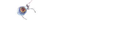 Logo Scarabée