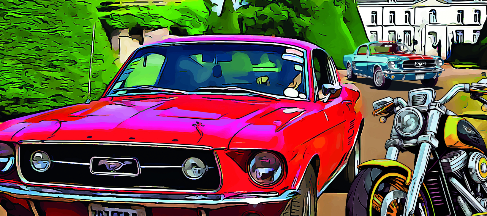 Passionnement Mustang