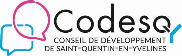 Logo Codesqy