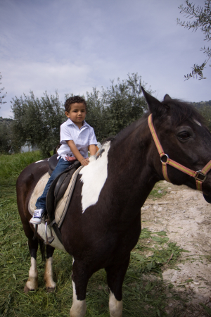 poney