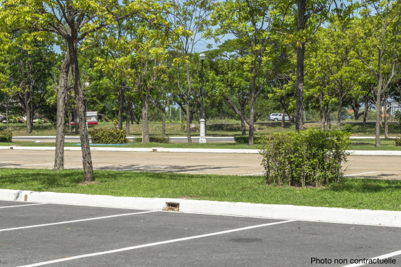 projet d'aménagement de la rue des fleurs ( photo non contractuelle)