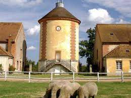bergerie de rambouillet