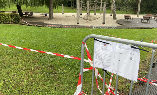 aire de jeu scarabée