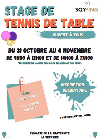 Stage de tennis de table