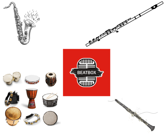 Stage initiation musicale