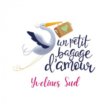 logo PETIT BAGAGE DAMOUR