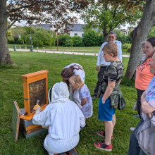 Photo du rucher de La Verrière
