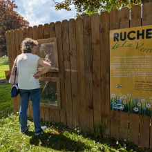 Photo du rucher de La Verrière