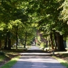 parc du château