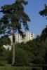Bois de l'Etang