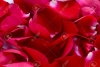 saint valentin