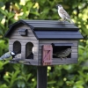 nichoirs oiseaux