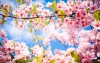 printemps