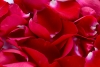 saint valentin