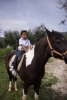 poney