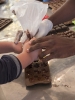 chocolat artisanal