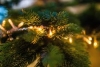 SAPIN