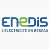 Logo Enedis