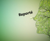 Reporté