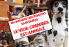 Vide greniers annulé