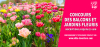 Concours Jardins et balcons fleuris