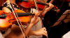 Concert gratuit MMD