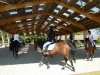 double poney
