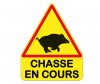 chasse en cours