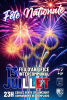 feu d'artifice 2024