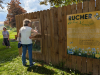 Voici une image du rucher de La Verrière